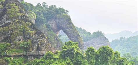 江西鷹潭龜山如何去，順便聊聊為什麼烏龜不喜歡爬山